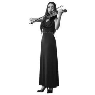 svjc-cutout-gray-24