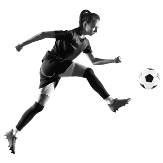 svjc-cutout-gray-5
