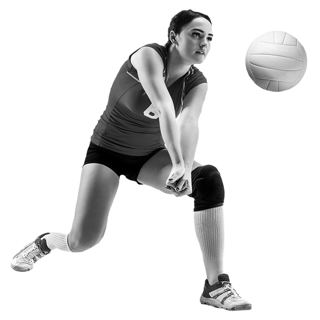 svjc-cutout-gray-6
